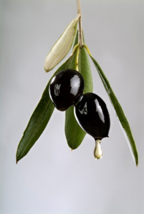 Siyah Zeytin 