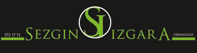 MEHMET SEZGİN
