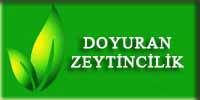 Doyuran Zeytincilik Gıda Sanayi Nakliyecilik Ticaret Limited Şirketi Orhangazi Şubesi